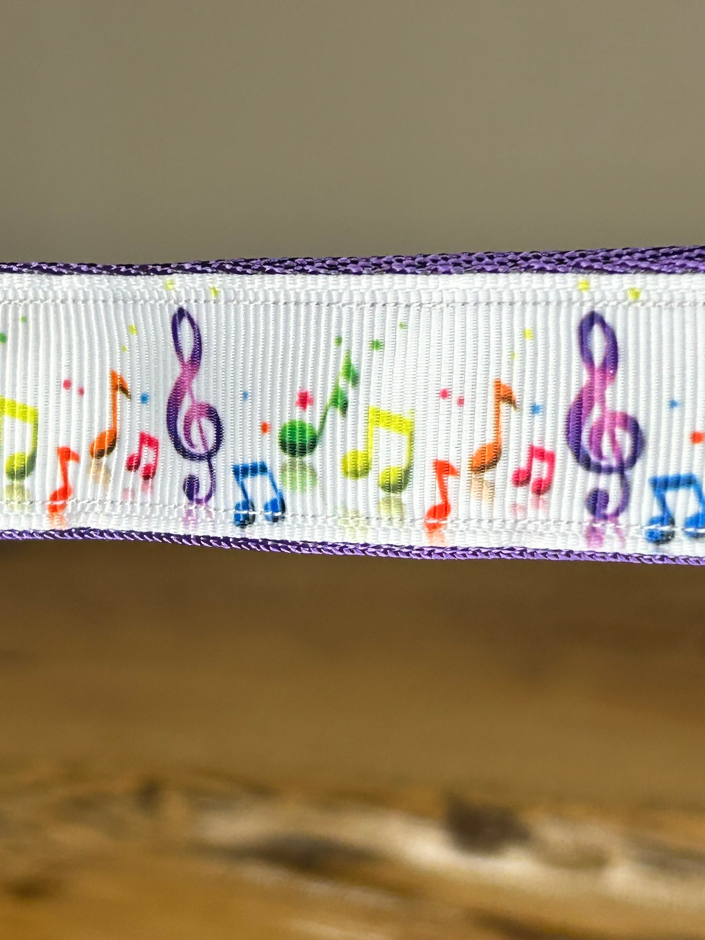 Music Notes Keychain / Handle