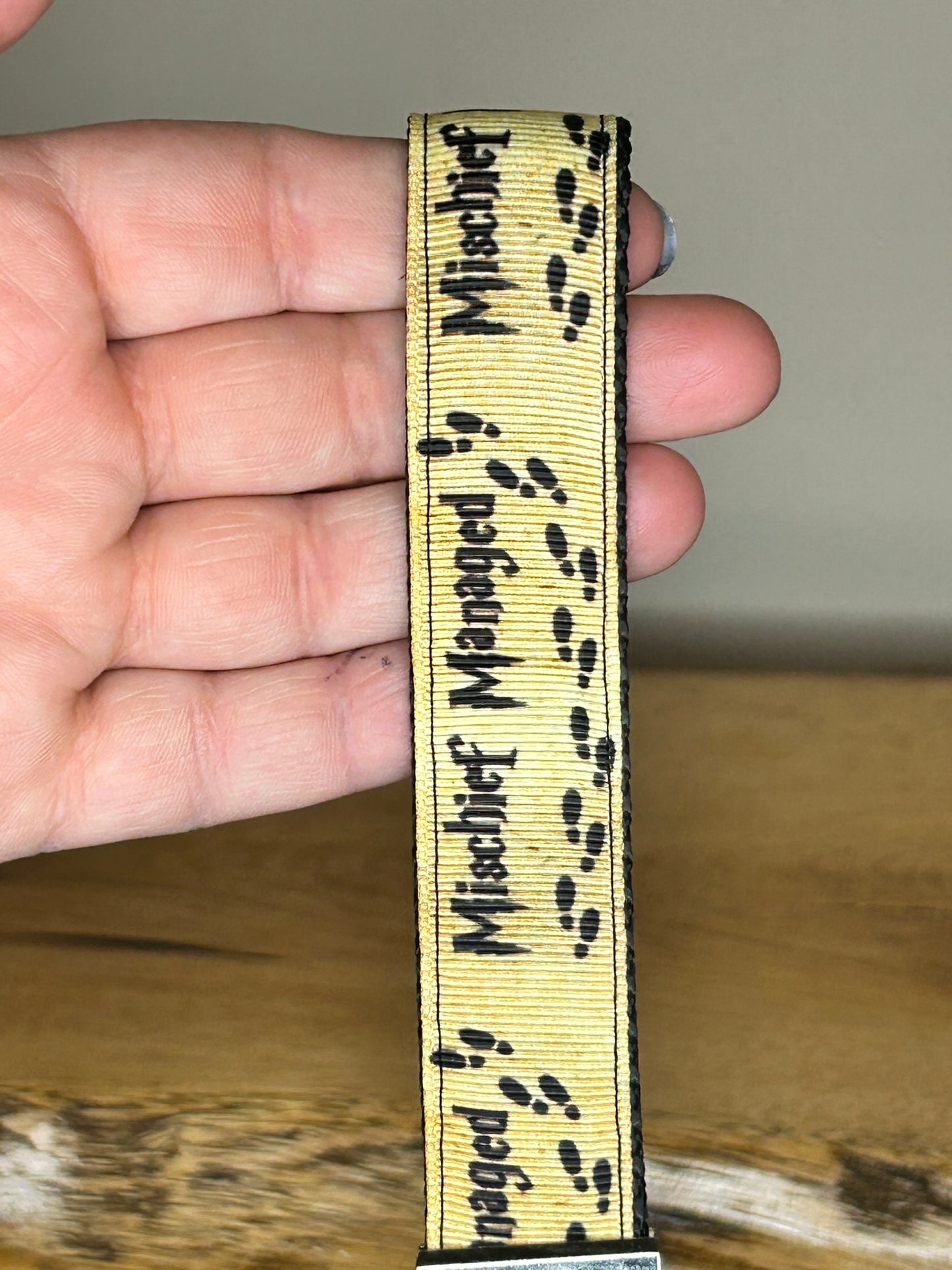 Ready to be Sorted... Keychain / Handle