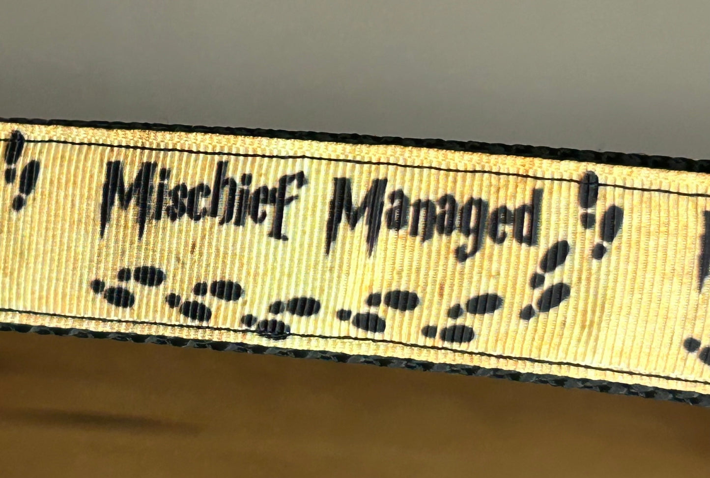 Ready to be Sorted... Keychain / Handle